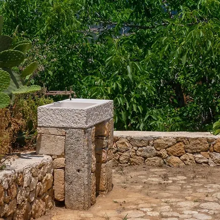 Vinovassilema Stone * Acupádesz