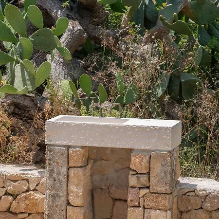 Nyaraló Vinovassilema Stone