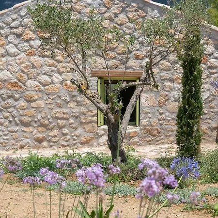 Vinovassilema Stone Acupádesz