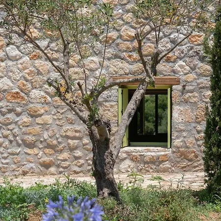 Vinovassilema Stone Feriehus Atsoupades